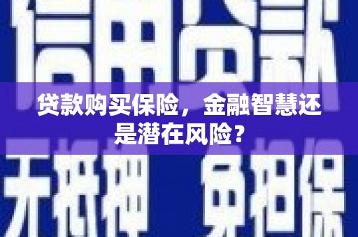 沈河贷款购买保险，金融智慧还是潜在风险？