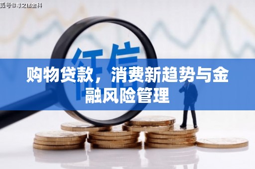 昌乐购物贷款，消费新趋势与金融风险管理