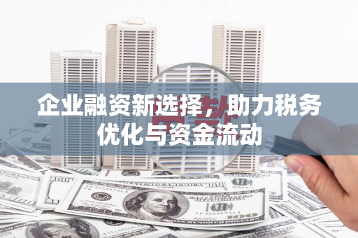 东乡族企业融资新选择，助力税务优化与资金流动