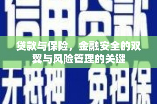 莎车贷款与保险，金融安全的双翼与风险管理的关键