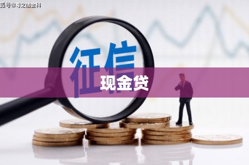 定陶现金贷