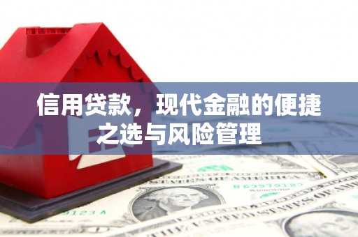 永年信用贷款，现代金融的便捷之选与风险管理