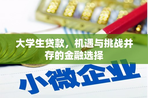 平安大学生贷款，机遇与挑战并存的金融选择
