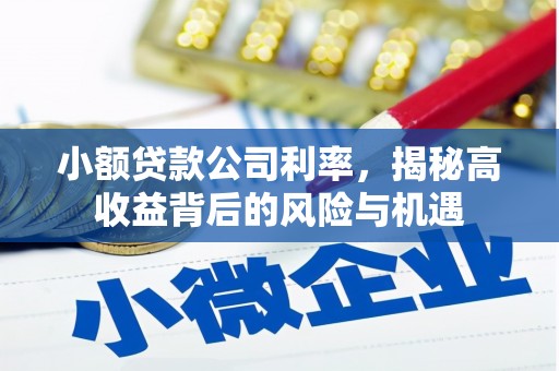 漠河小额贷款公司利率，揭秘高收益背后的风险与机遇