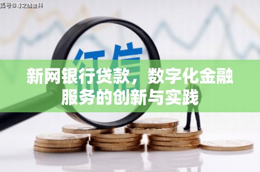 岳塘新网银行贷款，数字化金融服务的创新与实践