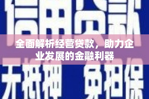 绥阳全面解析经营贷款，助力企业发展的金融利器