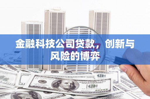 麦积金融科技公司贷款，创新与风险的博弈