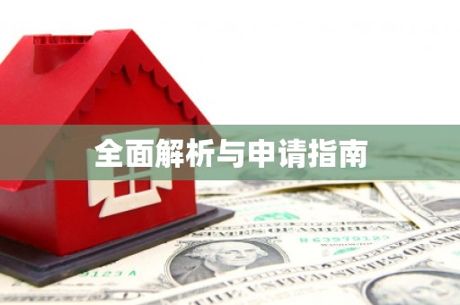 平舆全面解析与申请指南