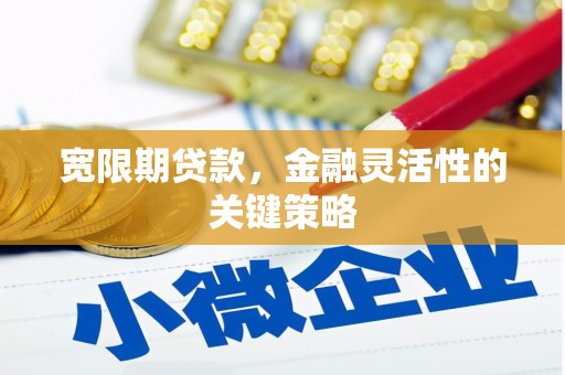 上林宽限期贷款，金融灵活性的关键策略