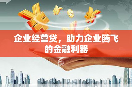 苏家屯企业经营贷，助力企业腾飞的金融利器