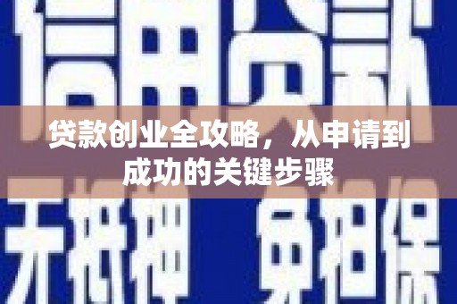 崖州贷款创业全攻略，从申请到成功的关键步骤