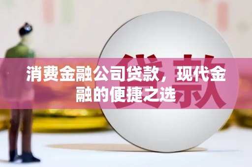 舟山新区消费金融公司贷款，现代金融的便捷之选