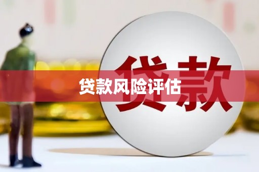 大丰贷款风险评估