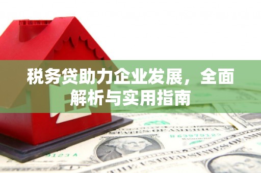云浮税务贷助力企业发展，全面解析与实用指南
