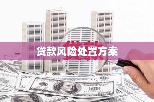 秦安贷款风险处置方案