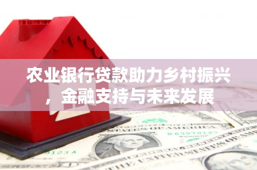 璧山农业银行贷款助力乡村振兴，金融支持与未来发展