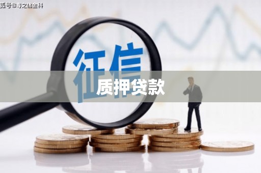 巴里坤质押贷款
