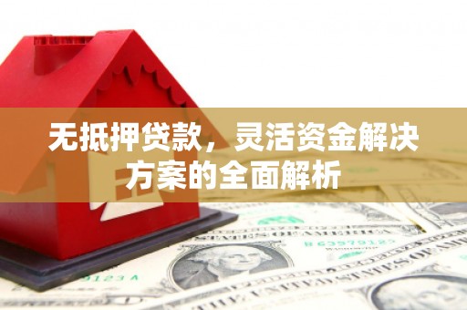 禄丰无抵押贷款，灵活资金解决方案的全面解析