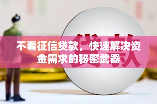 双城不看征信贷款，快速解决资金需求的秘密武器