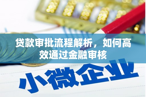 沧县贷款审批流程解析，如何高效通过金融审核