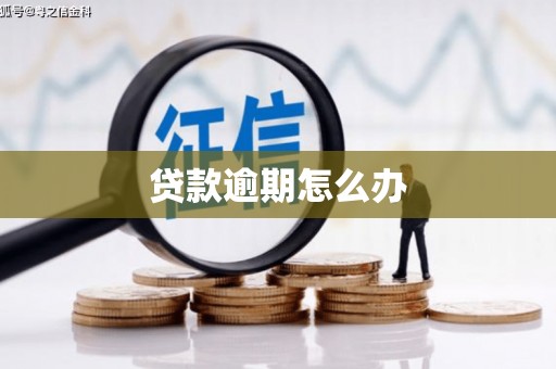 平乡贷款逾期怎么办