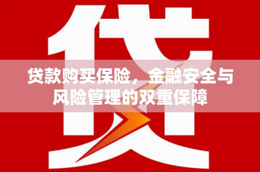 武隆贷款购买保险，金融安全与风险管理的双重保障