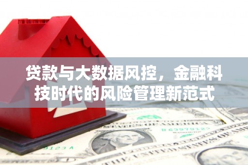 岭东贷款与大数据风控，金融科技时代的风险管理新范式