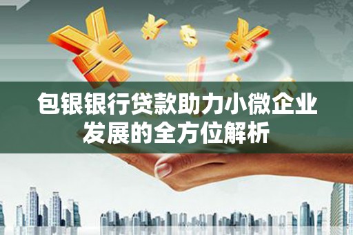 罗定包银银行贷款助力小微企业发展的全方位解析
