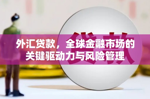 循化外汇贷款，全球金融市场的关键驱动力与风险管理