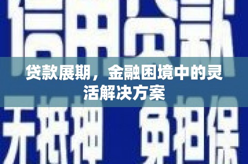 文县贷款展期，金融困境中的灵活解决方案