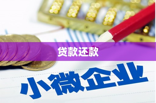 疏附贷款还款