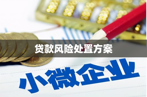 石排贷款风险处置方案