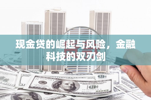 龙游现金贷的崛起与风险，金融科技的双刃剑
