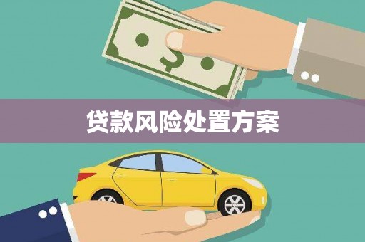 界首贷款风险处置方案