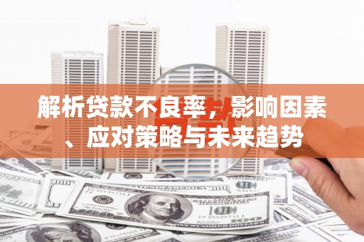 颍州解析贷款不良率，影响因素、应对策略与未来趋势