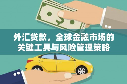 遵化外汇贷款，全球金融市场的关键工具与风险管理策略