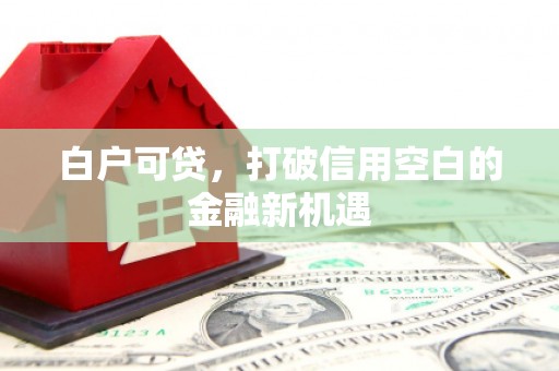 闻喜白户可贷，打破信用空白的金融新机遇
