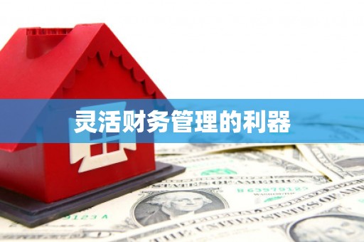 锦州灵活财务管理的利器