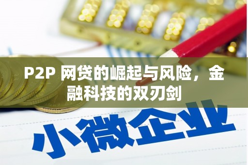 嵩县P2P 网贷的崛起与风险，金融科技的双刃剑
