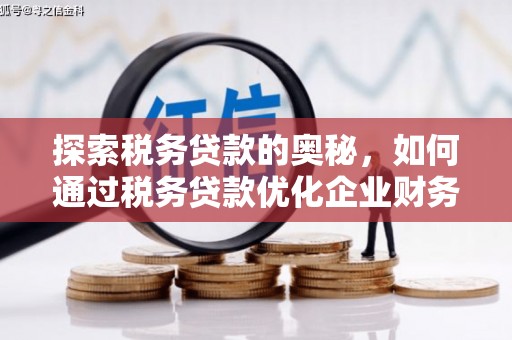 永善探索税务贷款的奥秘，如何通过税务贷款优化企业财务
