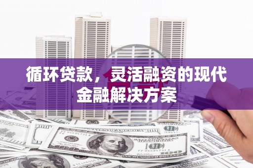 曲麻莱循环贷款，灵活融资的现代金融解决方案