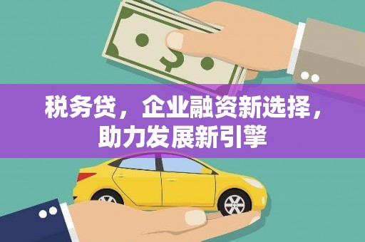 灵武税务贷，企业融资新选择，助力发展新引擎