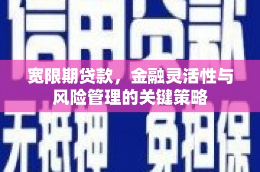 两江新区宽限期贷款，金融灵活性与风险管理的关键策略