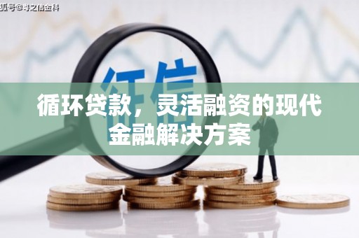 东西湖循环贷款，灵活融资的现代金融解决方案