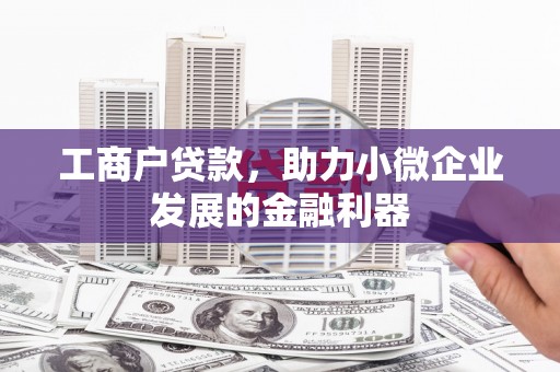 伊宁工商户贷款，助力小微企业发展的金融利器