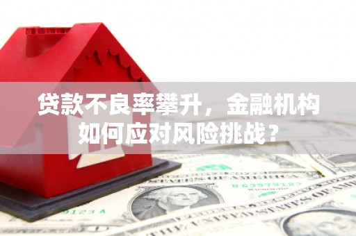 都江堰贷款不良率攀升，金融机构如何应对风险挑战？