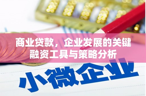 峨眉商业贷款，企业发展的关键融资工具与策略分析