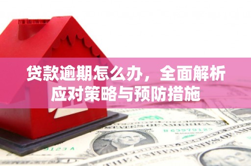 清新贷款逾期怎么办，全面解析应对策略与预防措施