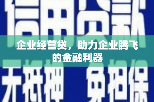 柳东企业经营贷，助力企业腾飞的金融利器