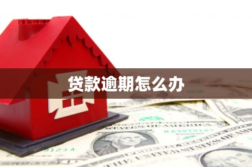 社旗贷款逾期怎么办